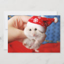 Search for hamster christmas cards Cute