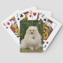 Recherche de spitz jeux de cartes Loulou