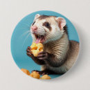 Search for ferret buttons Animal