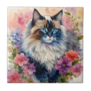 Recherche de chatons carreaux Aquarelle