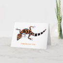 Search for geckos cards Salamander