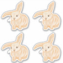 Search for rabbit drawing stickers Nature