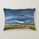 Search for santa fe pillows Horizontal