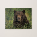 Search for brown bear puzzles Alaska