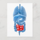 Recherche de physiologie posters Oesophage