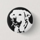 Recherche de labrador retriever badges Animal