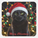 Recherche de photos chapeaux Noël