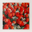 Recherche de jonquilles puzzles Jardin