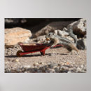 Recherche de brouette posters Agriculteur