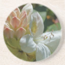 Search for azalea barware White