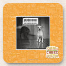 Search for scared coasters I can has cheezburger