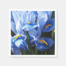 Recherche de iris serviettes Plante