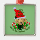 Search for yellow lab ornaments Xmas