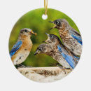 Search for bluebird ornaments Birding