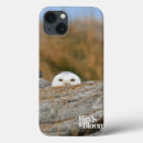 Search for owl images electronics Birds of prey
