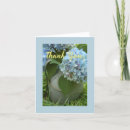 Search for neighbour cards Flower
