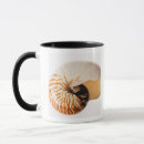 Search for nautilus mugs Animal