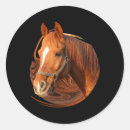 Search for horse picture stickers Rustic
