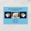 Recherche de polaire cartes visite Ours