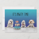 Recherche de gotcha day Adoption