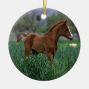 Recherche de cheval arabe ornements Position