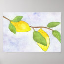 Recherche de arbres fruitiers art Verger