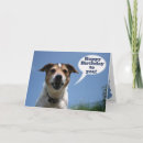 Search for jack russell birthday cards Terrier
