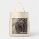Search for squirrel photo accessories Nature