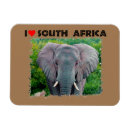 Recherche de taureaux magnets Nature
