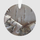 Search for birch trees ornaments Nature