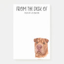 Recherche de shar Shar pei