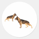 Search for shepherd stickers Pet lover