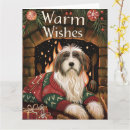 Search for bearded collie christmas cards Xmas