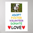 Search for dog adoption posters Shelter