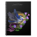 Search for bluejay Nature