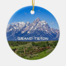 Search for wyoming ornaments Grand teton national park