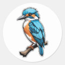 Search for kingfish stickers Animal