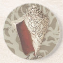 Search for seaside coasters Seashells