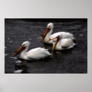 Search for manitoba posters Photography