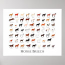 Search for pony posters Illustration