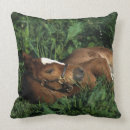 Recherche de pur sang coussins Herbe