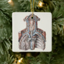 Search for anatomy ornaments Medicine