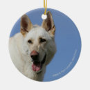 Search for white german shepherd ornaments Dog