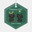 Search for two cats ornaments Cute