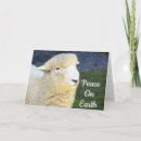 Search for sheep quotes Animal
