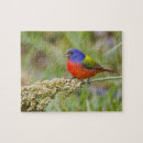 Recherche de mâle puzzles Oiseau