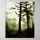 Search for misty trees posters Fog