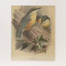 Recherche de lierre puzzles Nature