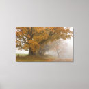 Recherche de 4 saisons art Automne