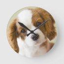 Recherche de épagneul horloges Animaux